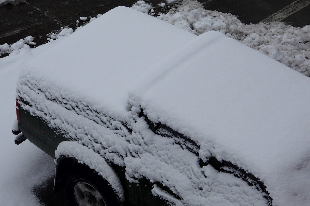 鯊魚王多變體汽車智能皮卡后箱蓋 鯊魚王多變體汽車智能皮卡后箱蓋